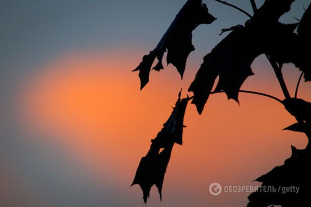 дождливая погода