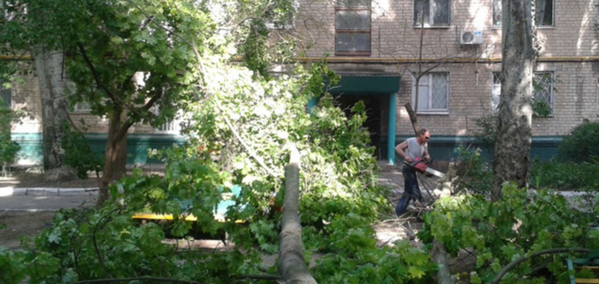 В области дерево свалилось на 4-месячного малыша (ФОТО, ВИДЕО)