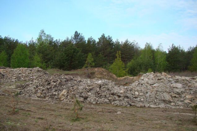 Трупи тварин на волинських полях