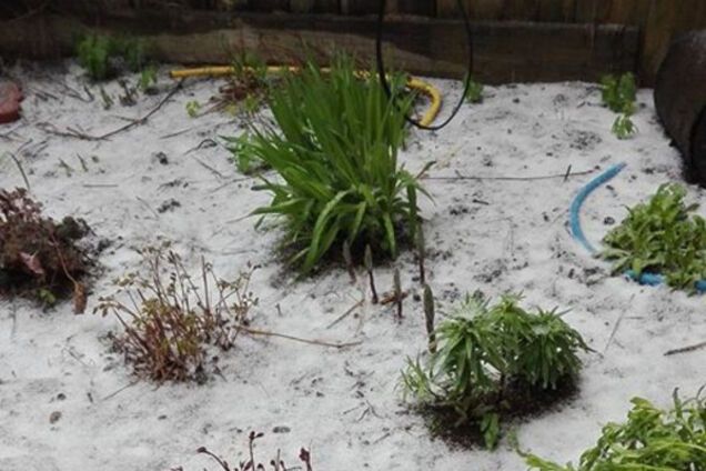 Снег в Москве