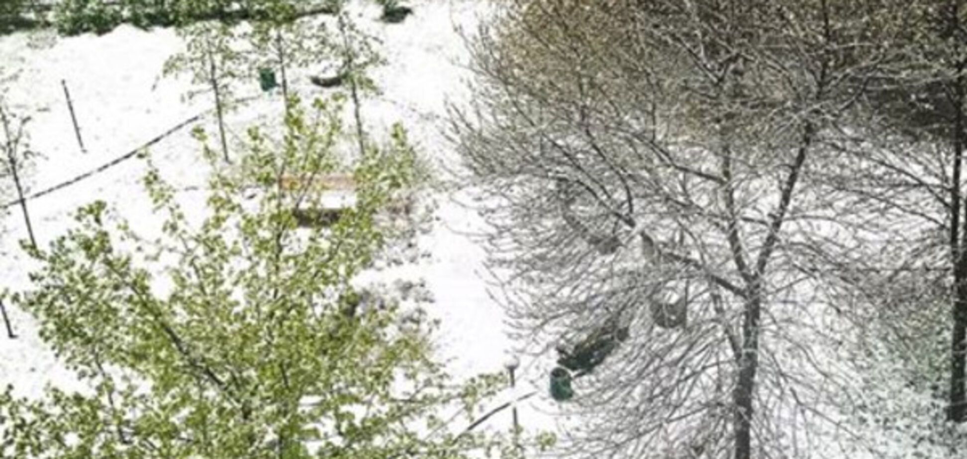 Снег в Москве