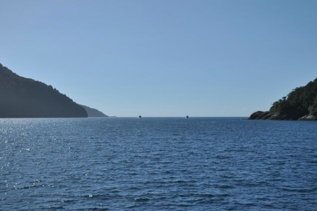 Ученые поймали 'безликое' чудовище в самой неизведанной части Земли: опубликовано фото