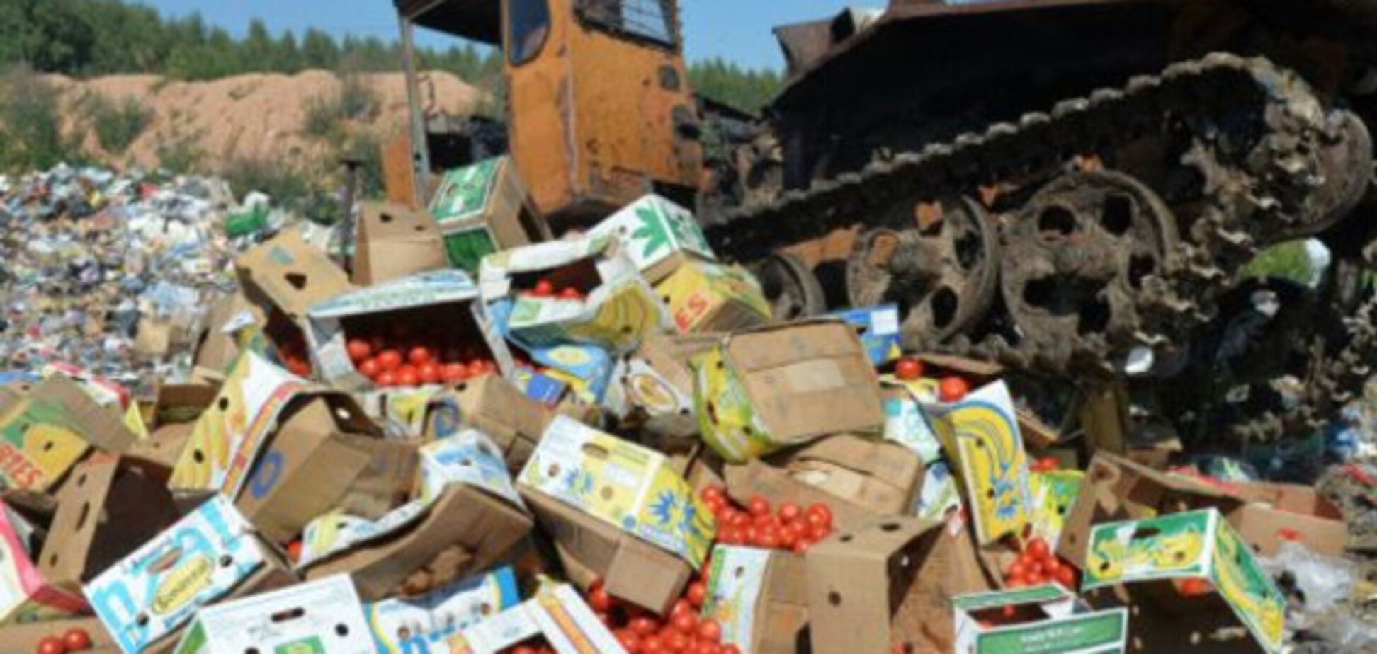 уничтожение помидор в россии