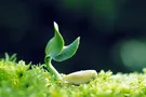 Подводим итоги грандиозного мая 2017 года вместе с Сергеем Поярковым