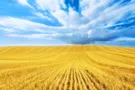 Україна