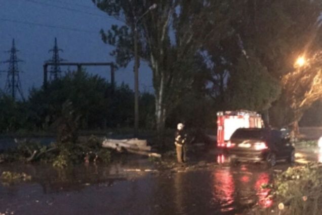 Прошедший в Мелитополе ураган повалил десятки деревьев и оставил без света полгорода (ФОТО, ВИДЕО)