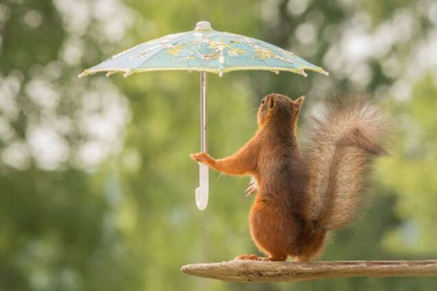 прогноз погоды в Украине