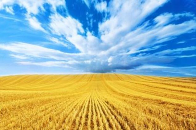 Знаковые фото с Россией и Украиной