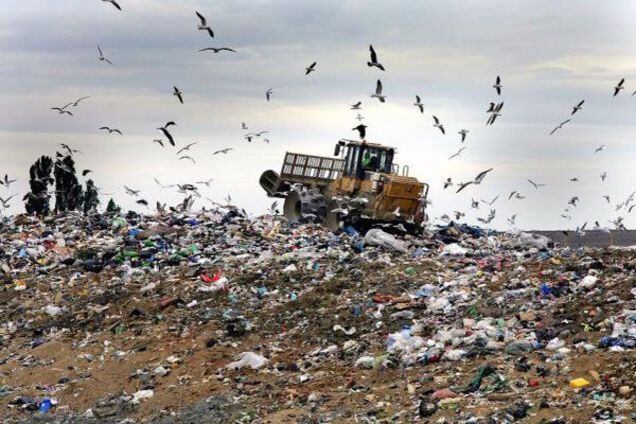 Мусорные бои неместного масштаба