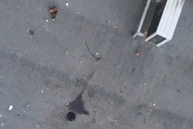 Выбросила собаку и кошку