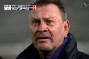 Стелленбош