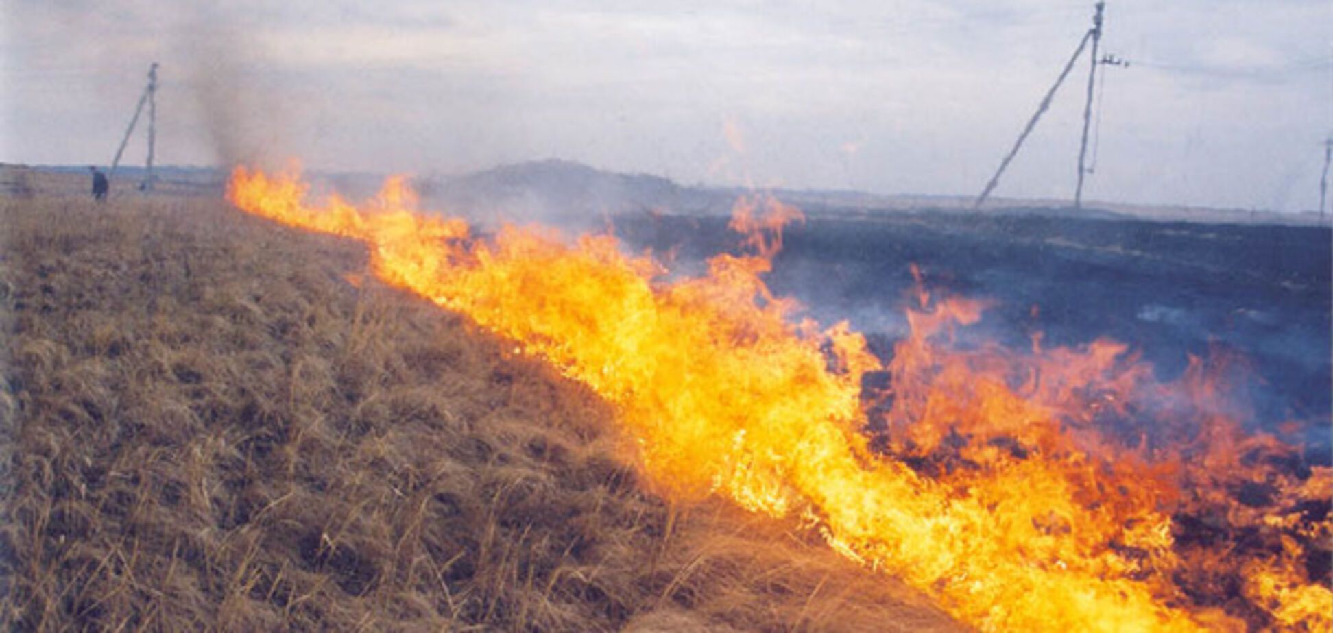 На острове Хортица начнут проводить мероприятия против пожаров 