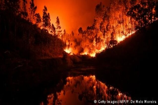 Щонайменше 57 загиблих через лісову пожежу в Португалії - цілі села в полоні вогню
