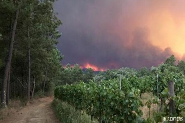 Понад 20 загиблих унаслідок лісової пожежі в Португалії