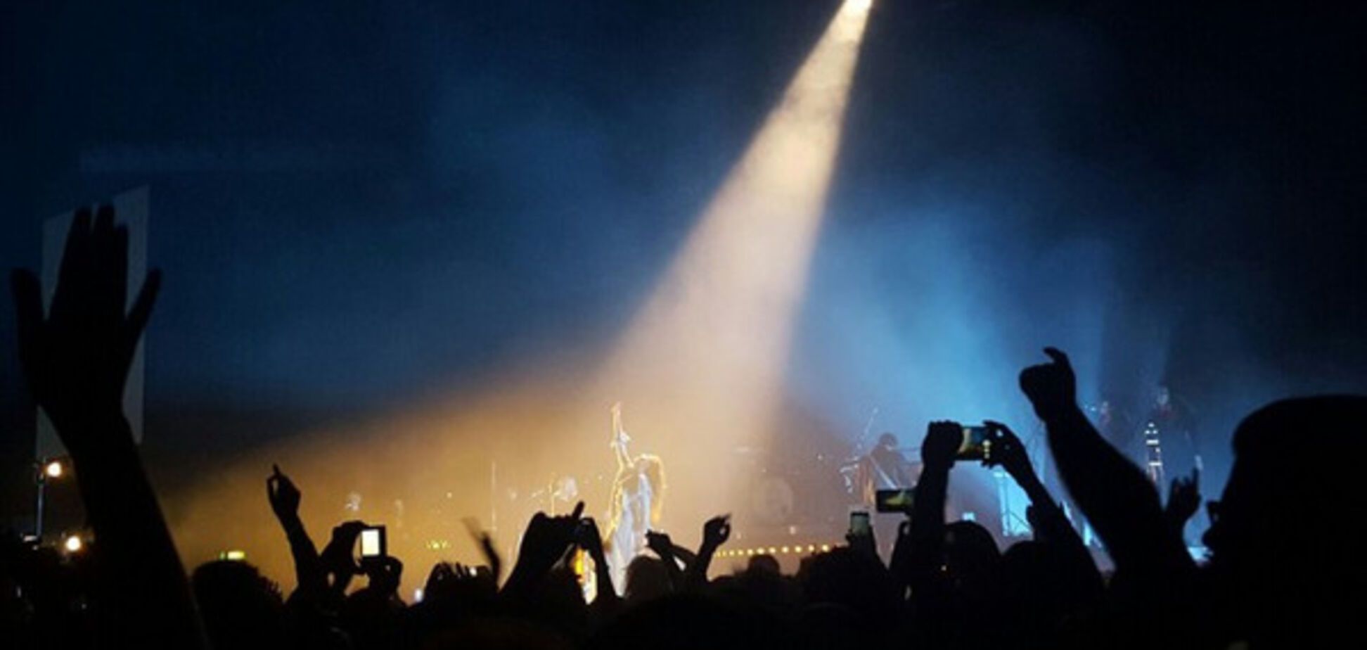 5 рекордів України і свиня для Гройсмана