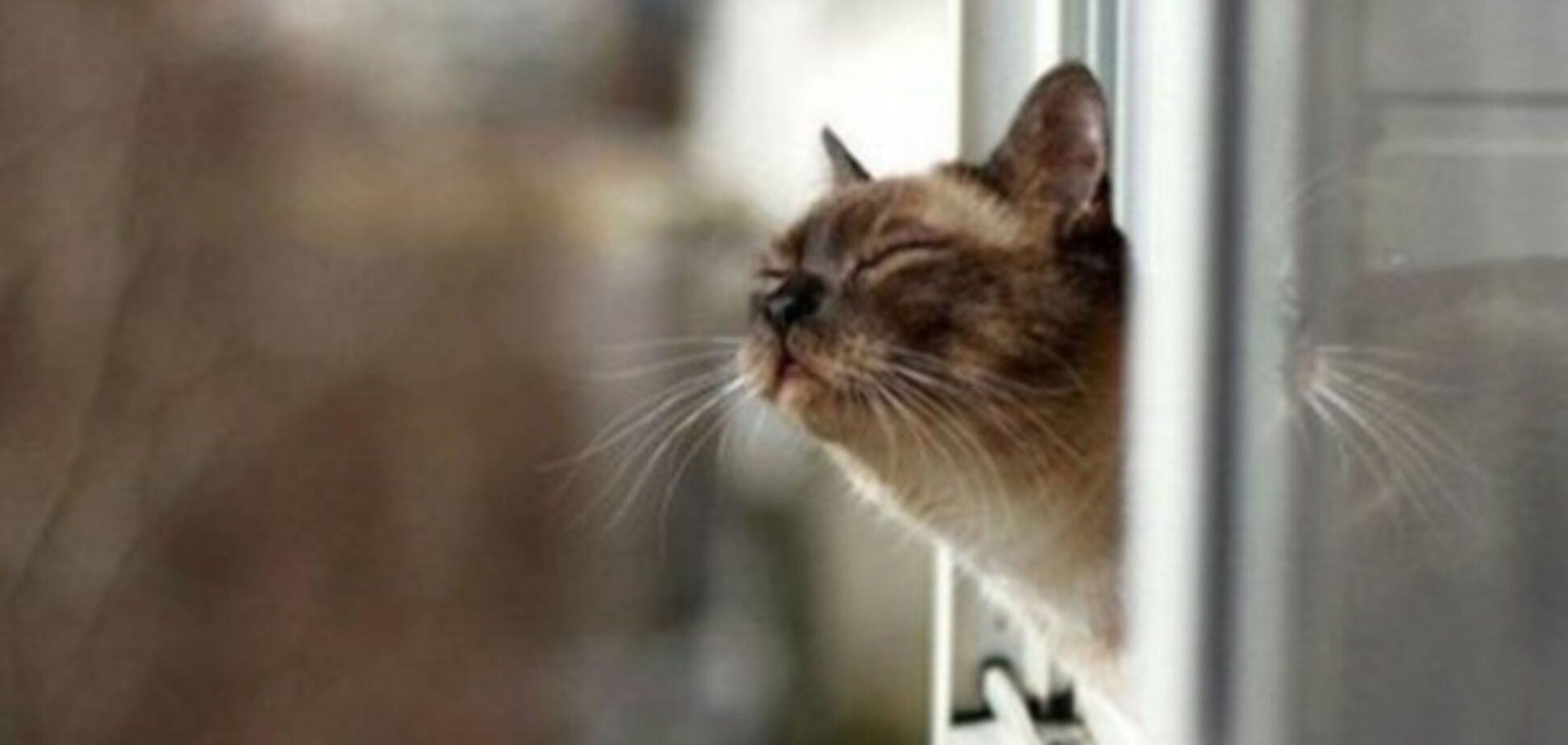 Прогноз погоди