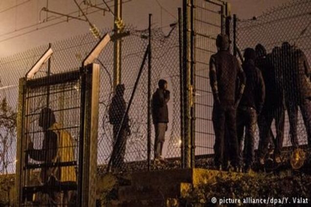 В ЄС затримали понад 130 перевізників нелегальних мігрантів