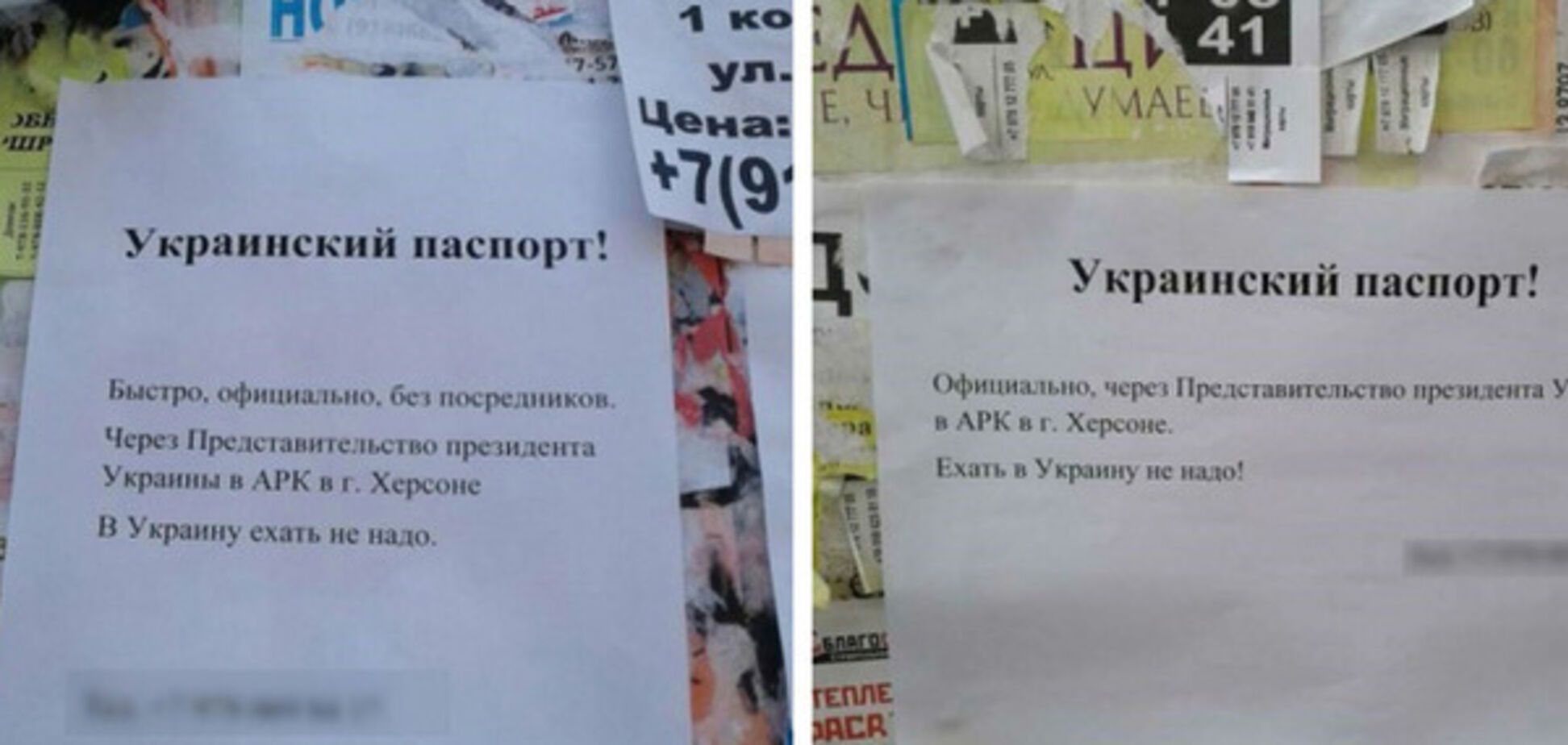 Украинский безвиз положил начало новому виду 'бизнеса' в Крыму: появилось фото
