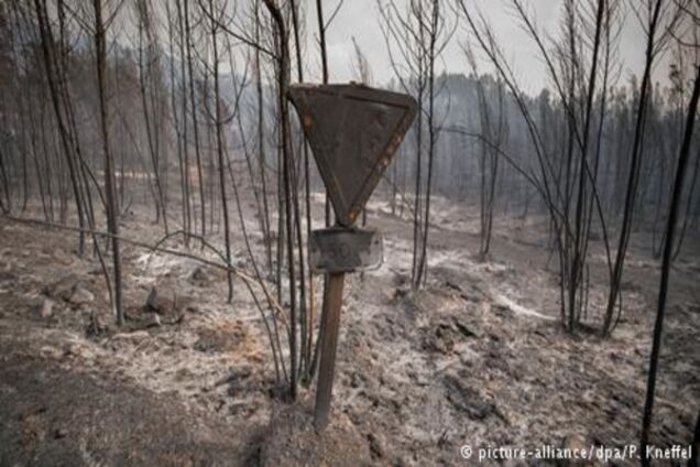 Влада Португалії: 'пекельну' пожежу локалізували на 70 відсотків