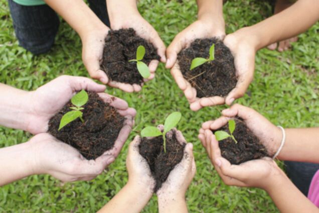 В 'Нашем крае' земельную реформу сравнили со скупкой ваучеров в 90-е и предложили переходный период