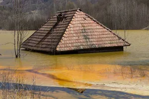 Джамана
