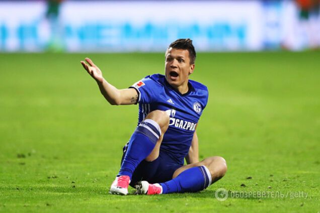 Коноплянка Шальке