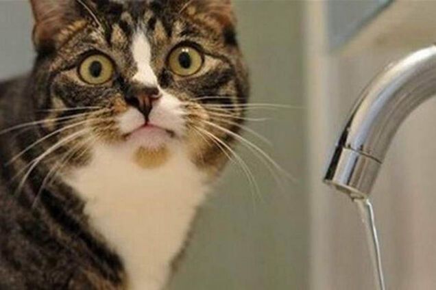 Отключение горячей воды в Киеве