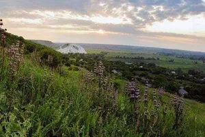 славянск цветы