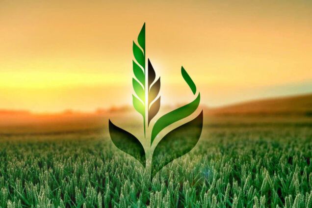 Кабмин утвердил финансовый план Аграрному фонду на 2017 год
