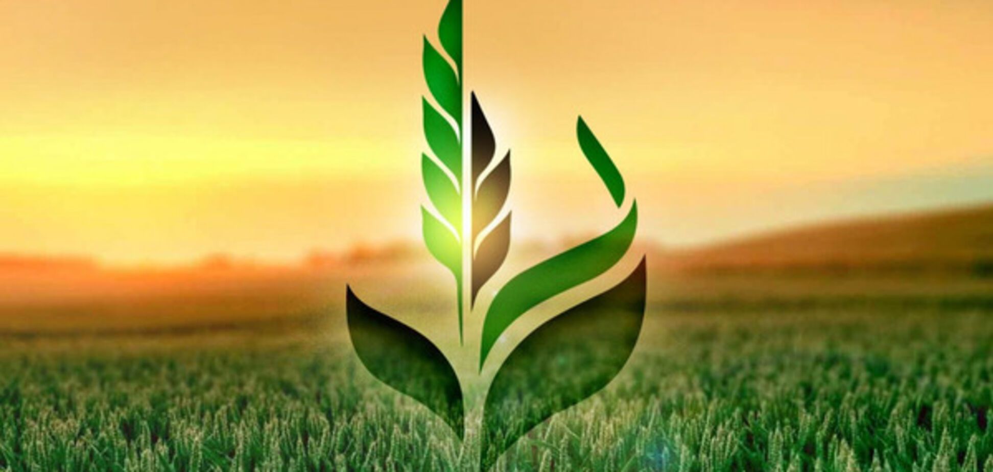 Кабмин утвердил финансовый план Аграрному фонду на 2017 год