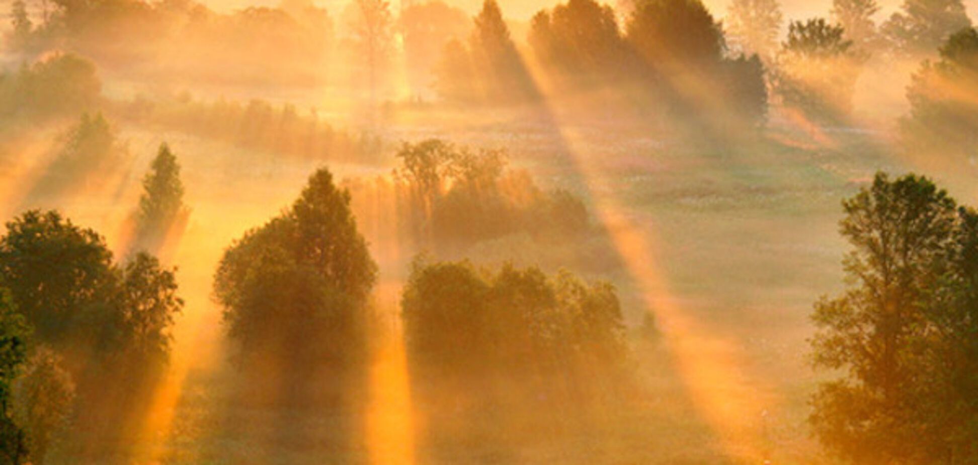 солнце рассвет