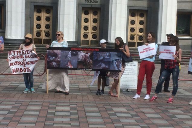 Митинг зоозащитников