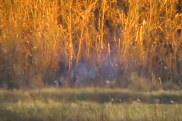 Позиции российской артиллерии