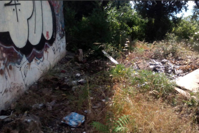 Срач в Крыму