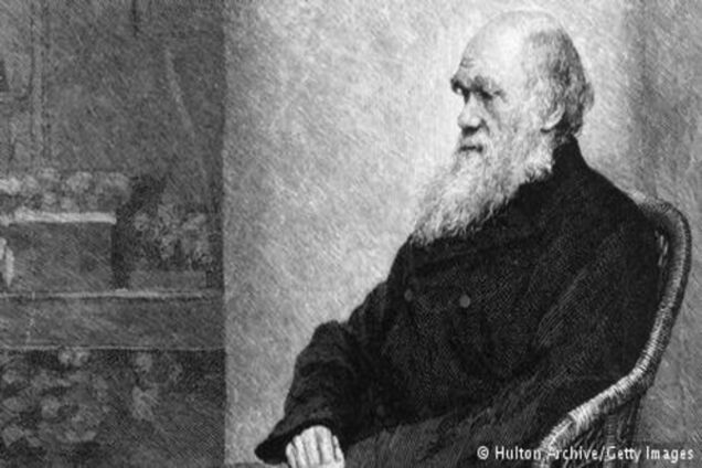 У турецьких школах припинять викладати теорію Дарвіна