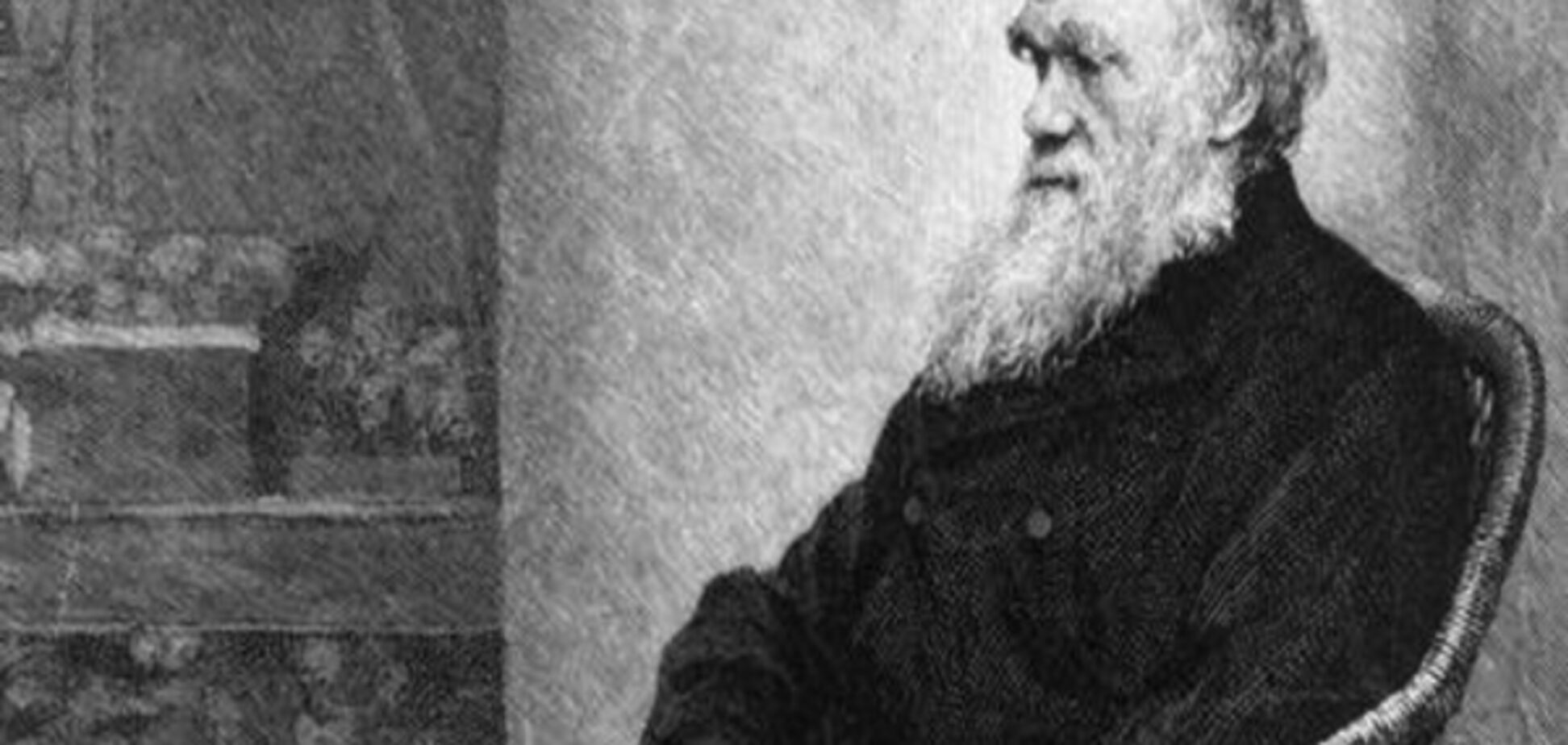 У турецьких школах припинять викладати теорію Дарвіна