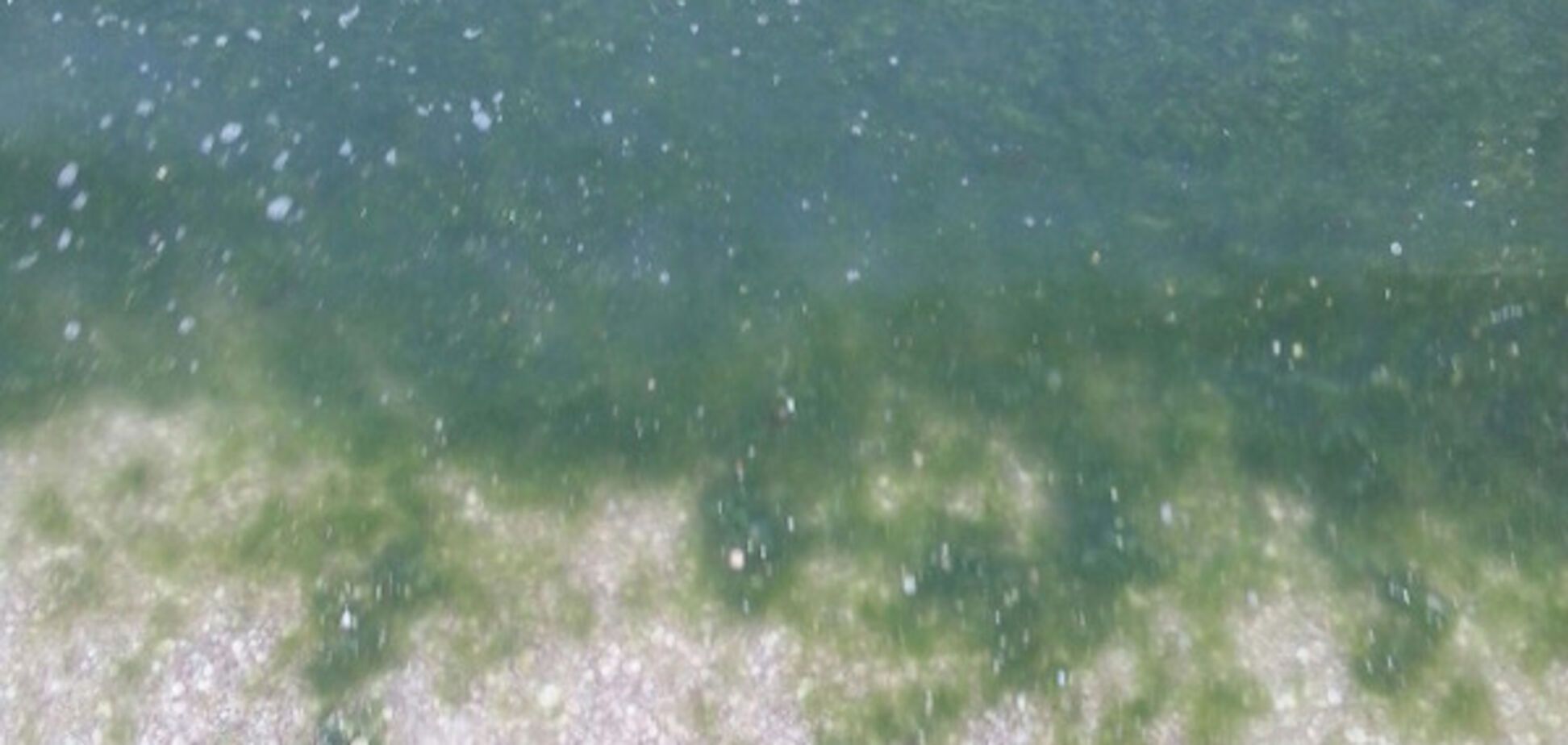 Кирилловка