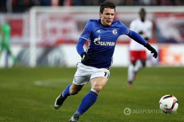 Коноплянка Шальке