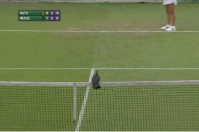 Wimbledon