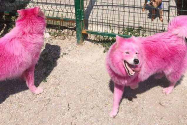 розовые лайки