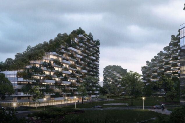 місто ліс китай