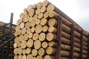 ліс-кругляк