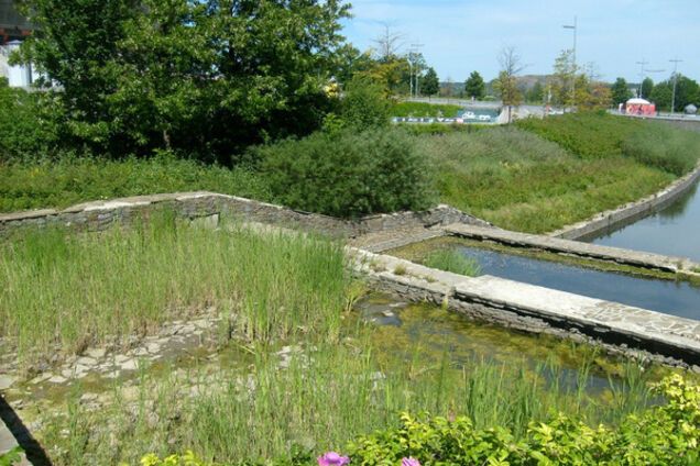 Донбасс Арена