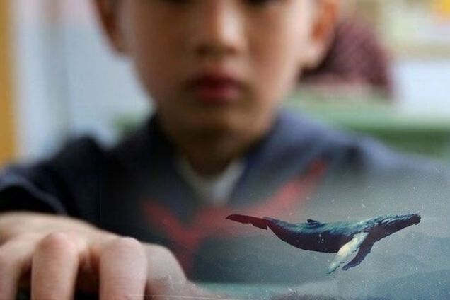 синий кит игра