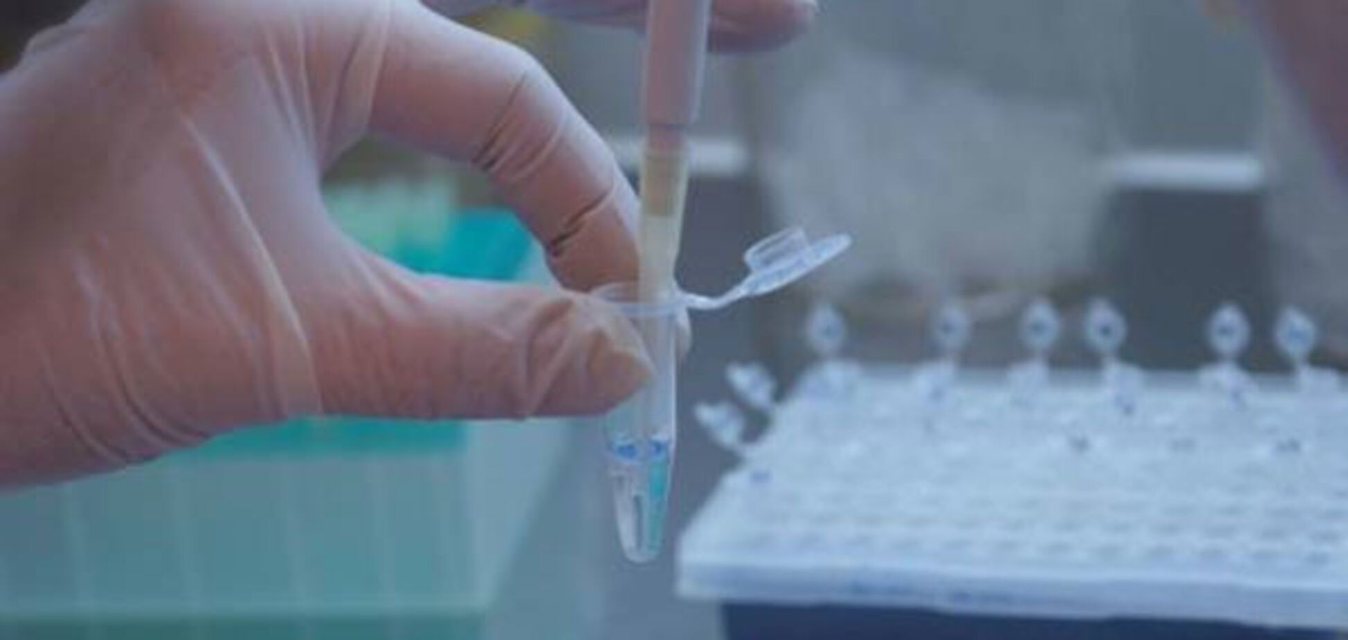 Клонирование