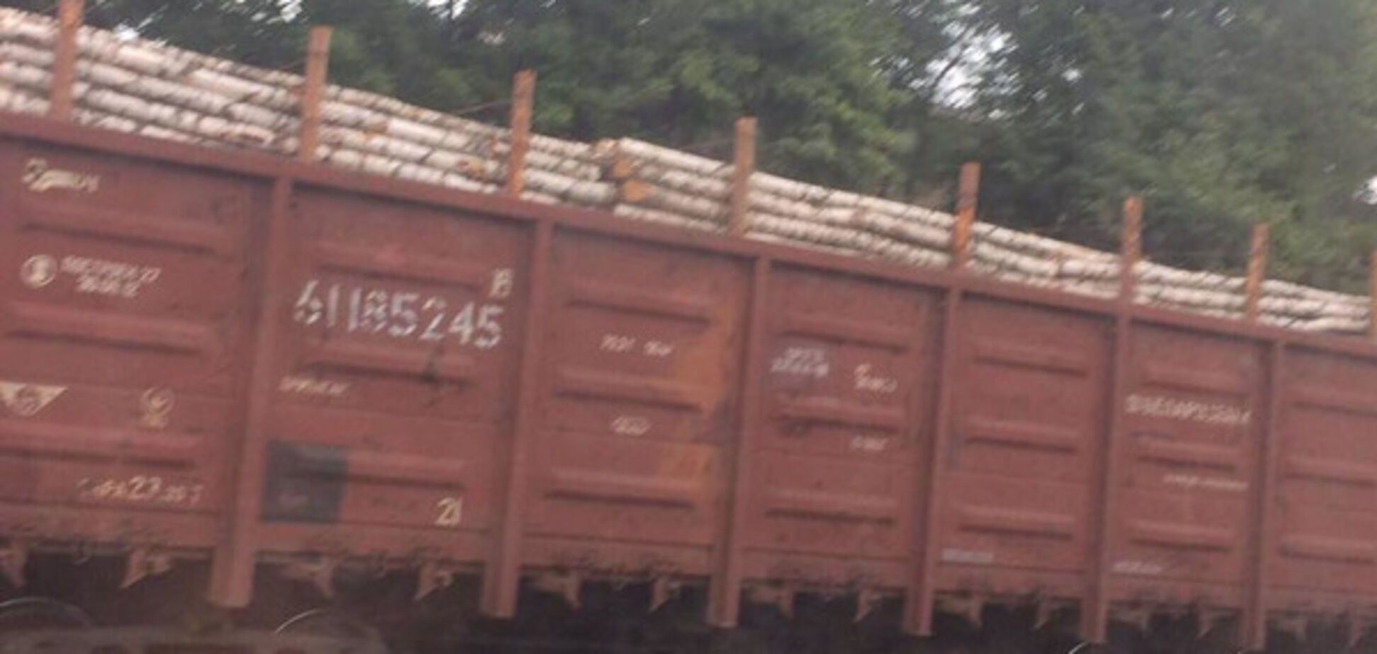 Лес-кругляк