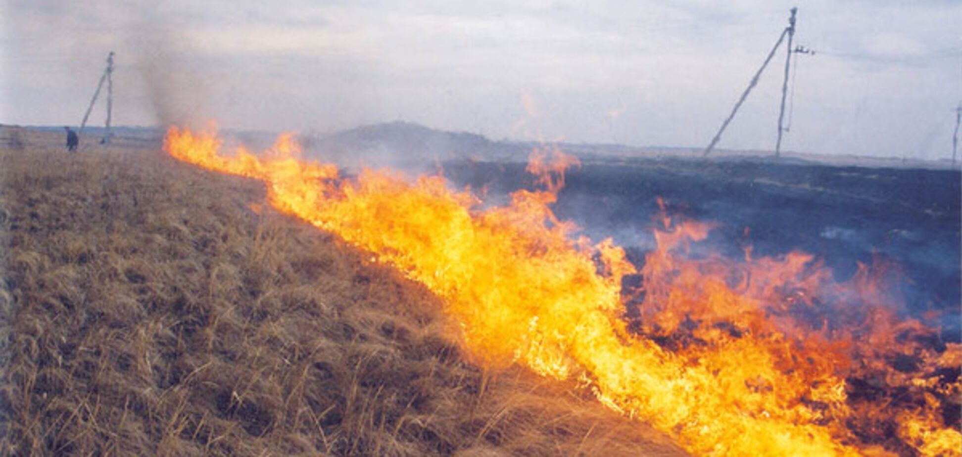 Около двух десятков пожаров в Запорожской области за одни сутки