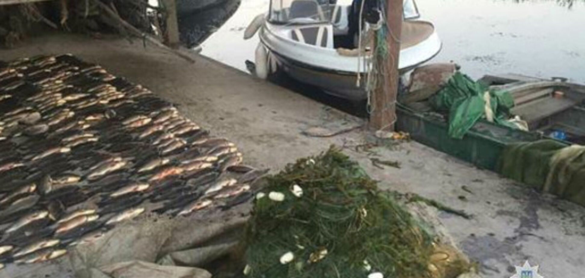 В Запорожской области попалась очередная группа браконьеров-рыбаков (ВИДЕО)