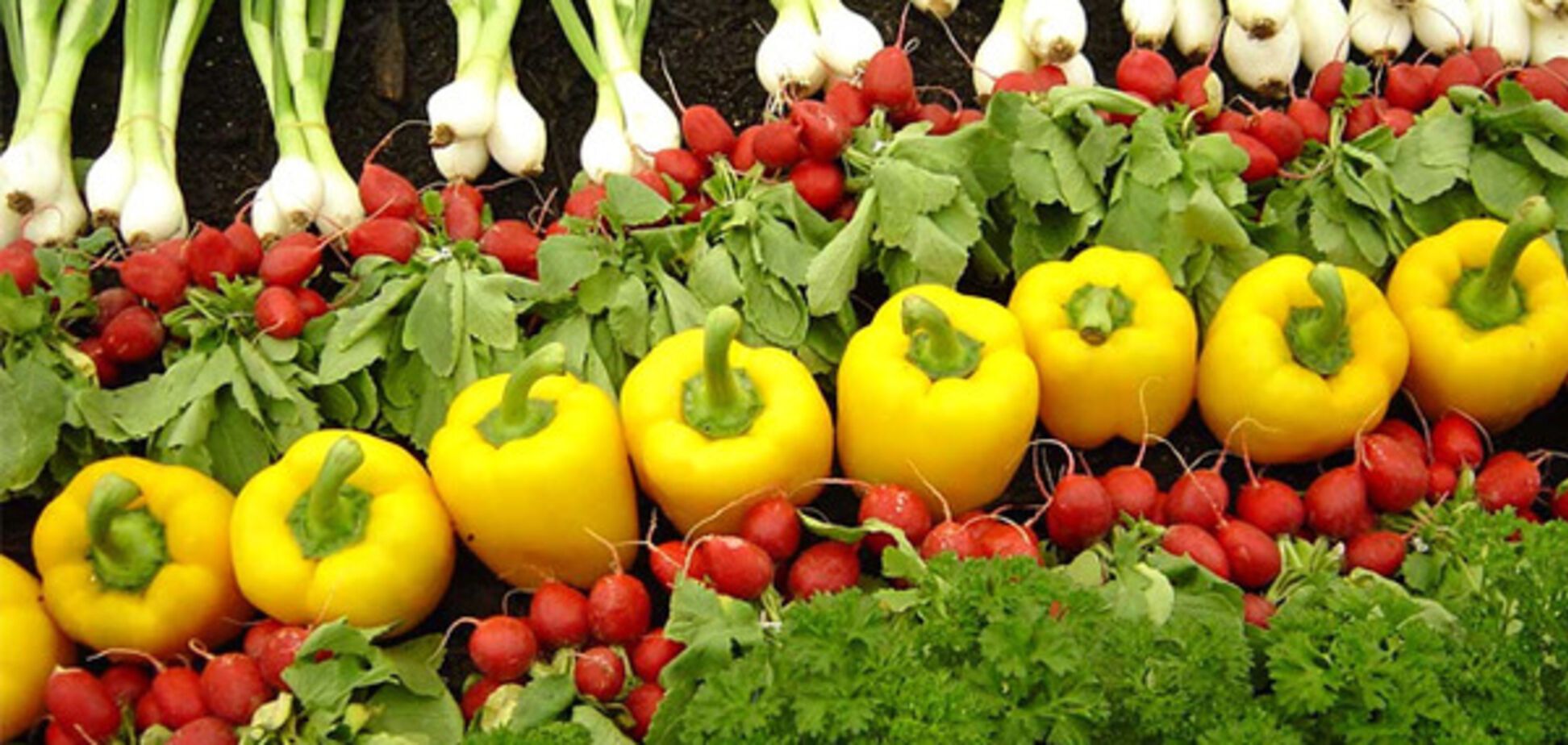 Внутрішнє споживання органічних продуктів цього року може сягнути 25 млн євро - Мінагро