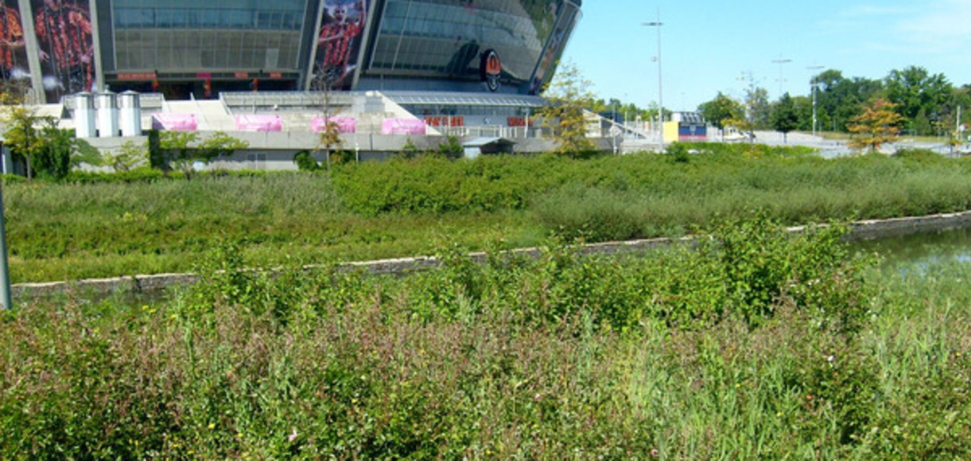 Донбасс Арена